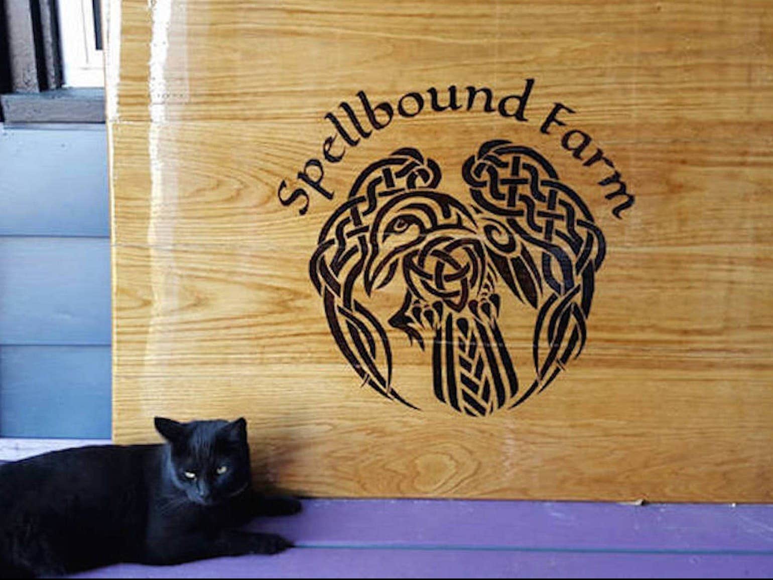 The Dyrt's photo of camping with pets at Tentrr Signature Site - Midcoast Adventures Campout near Owls Head, ME