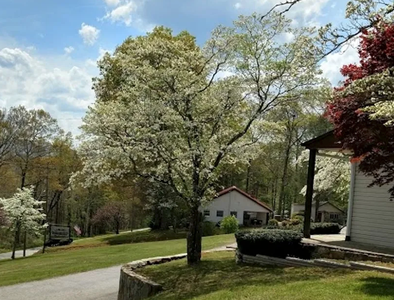 Camper-submitted photo at Blue Ridge Lodge & RV Park near Dawsonville, GA