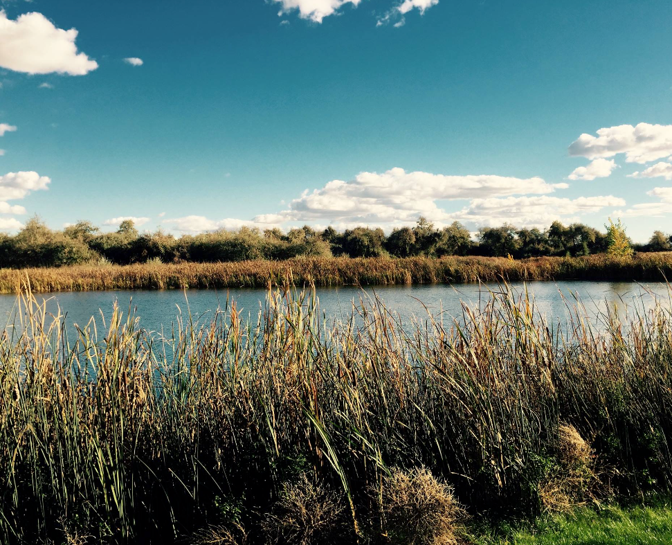 Camper-submitted photo at Canyon Springs RV Resort near Harper, OR