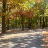 Review photo of Nickell Branch Campground by Michael W., October 20, 2022