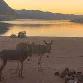 Review photo of Kingman Wash — Lake Mead National Recreation Area by Eric G., October 20, 2022