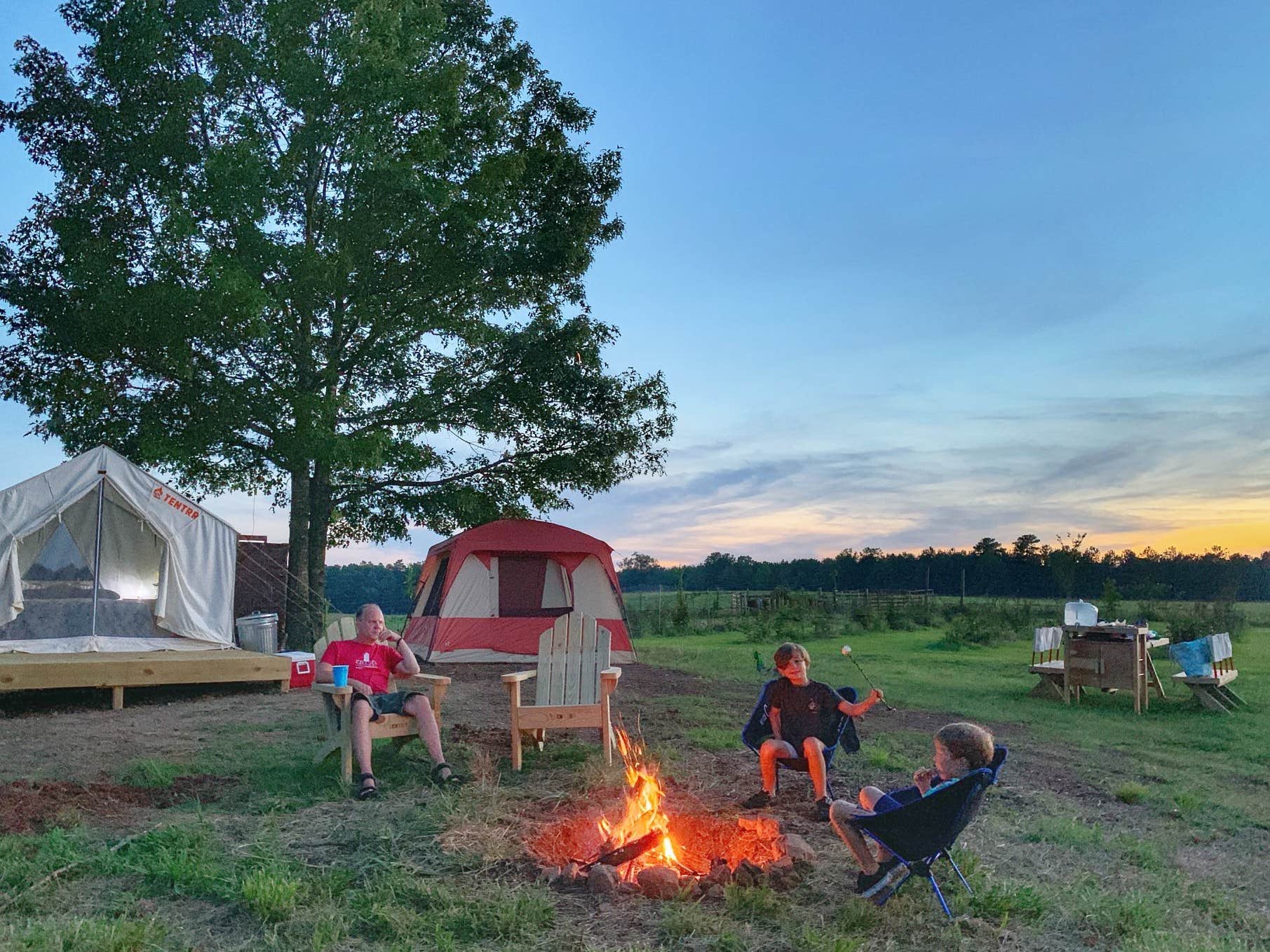 The Dyrt's photo at Tentrr Signature Site - Berry Farm Orchard View near Bogart, GA
