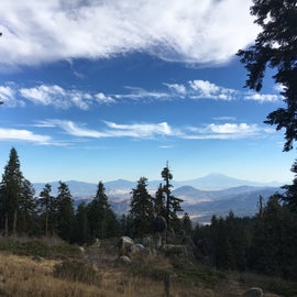 Mt. Shasta in the distance! looks much closer in person 🥰