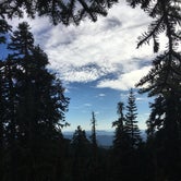 Review photo of Mount Ashland Campground by lhasa G., October 21, 2022