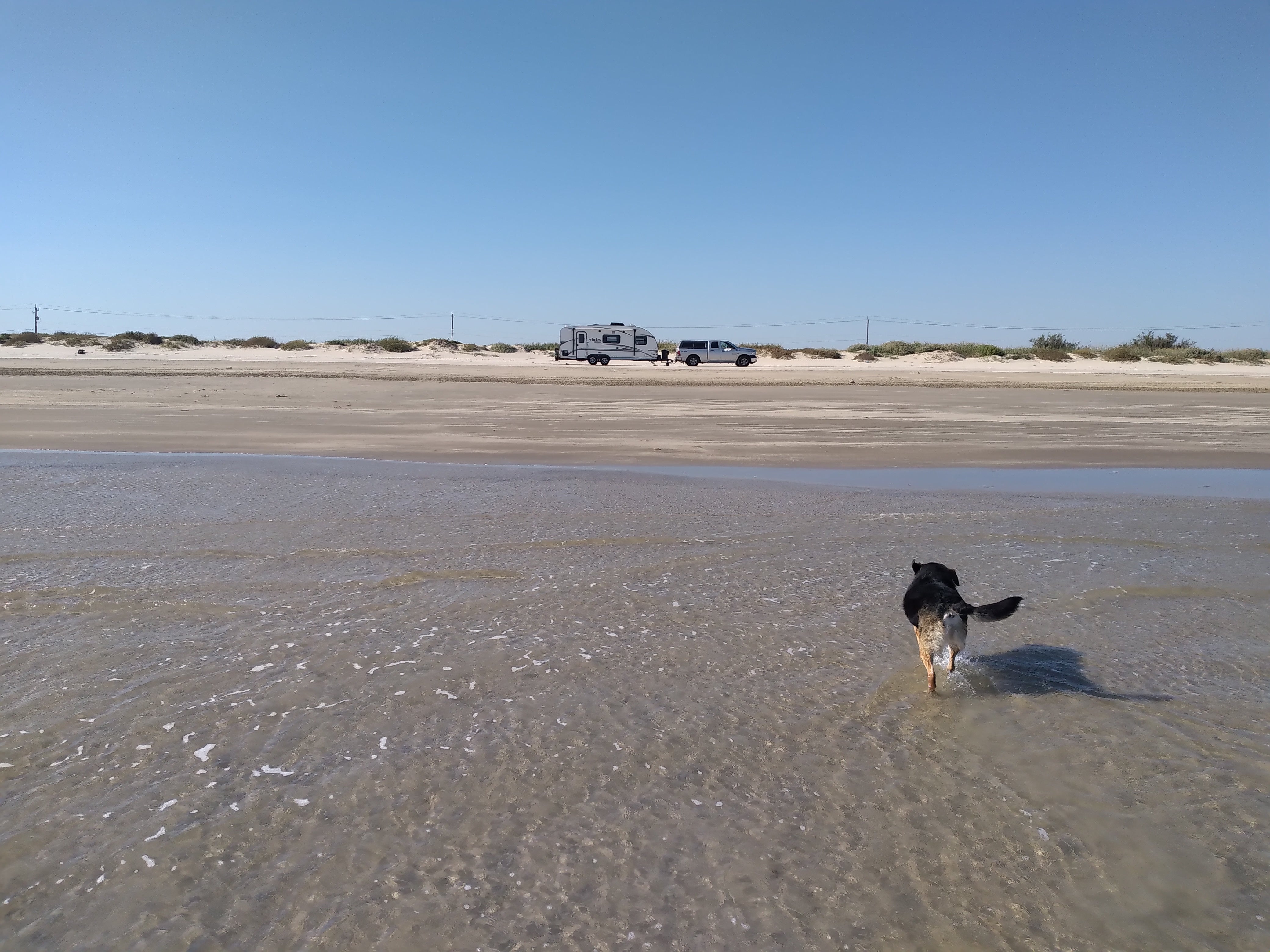 Camper submitted image from Brazoria Beach - 5