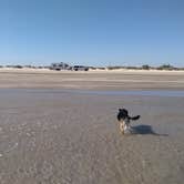 Review photo of Brazoria Beach by Jack K., October 21, 2022