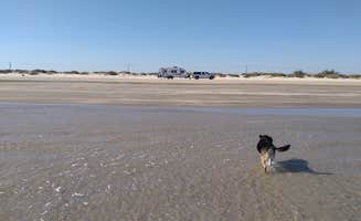 Jack K.'s photo of camping with pets at Brazoria Beach near Galveston, TX