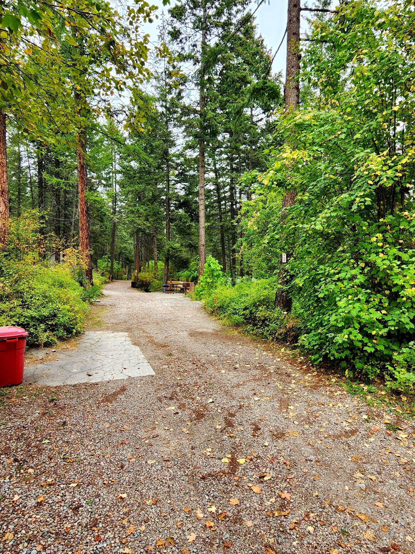 Camper-submitted photo at Outback Montana RV Park and Campground near Flathead National Forest