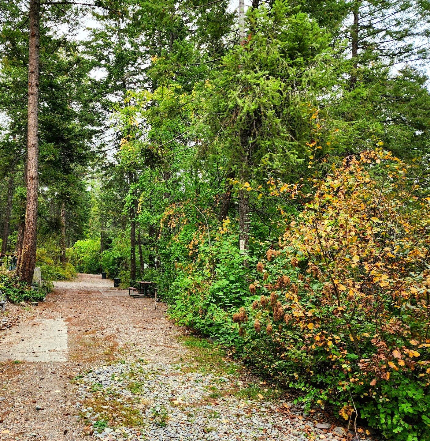 Camper-submitted photo at Outback Montana RV Park and Campground near Flathead National Forest