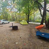 Review photo of Great River Bluffs State Park Campground by Tori K., October 21, 2022