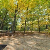 Review photo of Great River Bluffs State Park Campground by Tori K., October 21, 2022