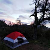 Review photo of Sycamore Canyon Campground — Point Mugu State Park by robherr , September 9, 2018