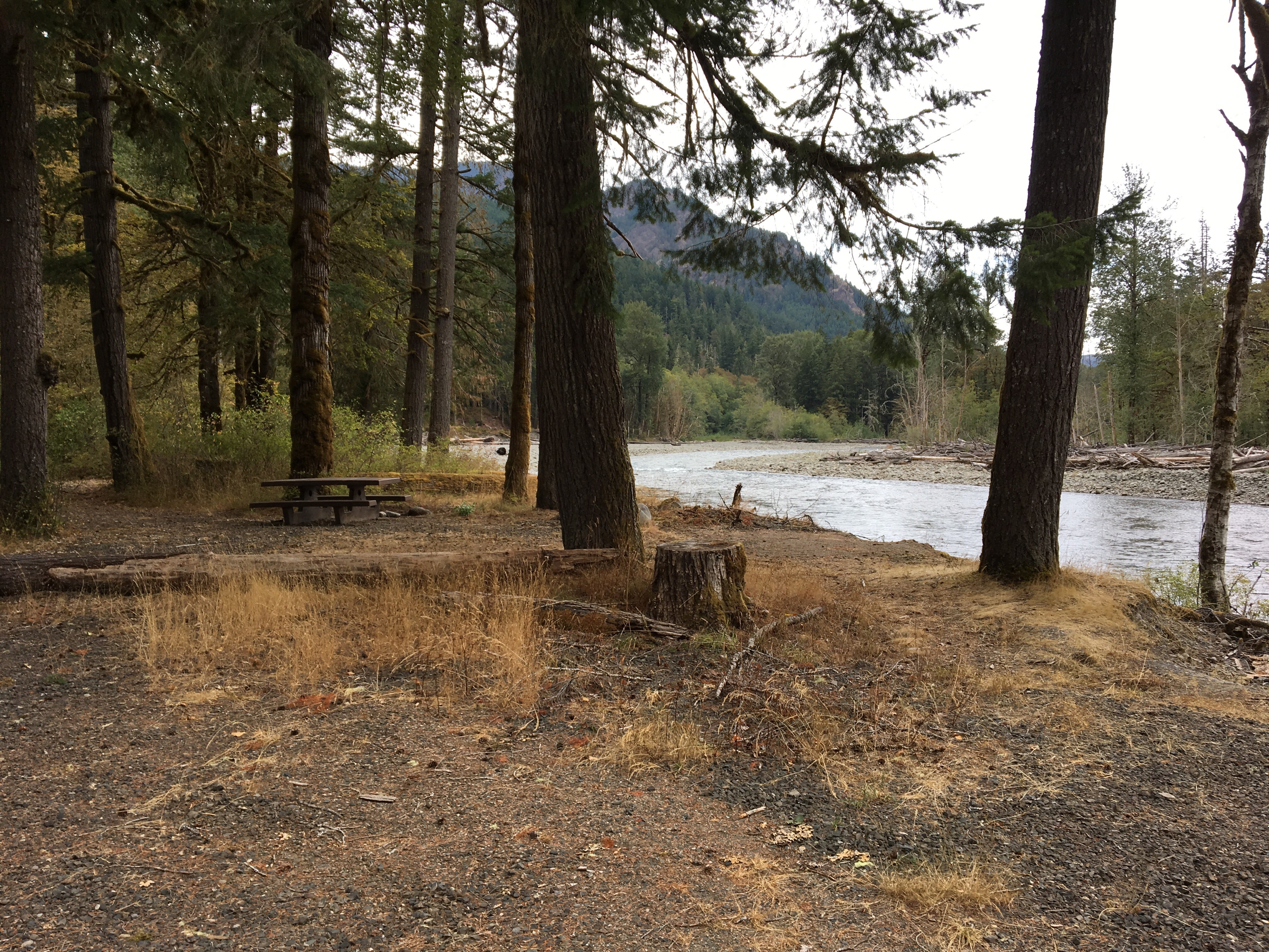 Camper submitted image from Altair Campground — Olympic National Park - 3
