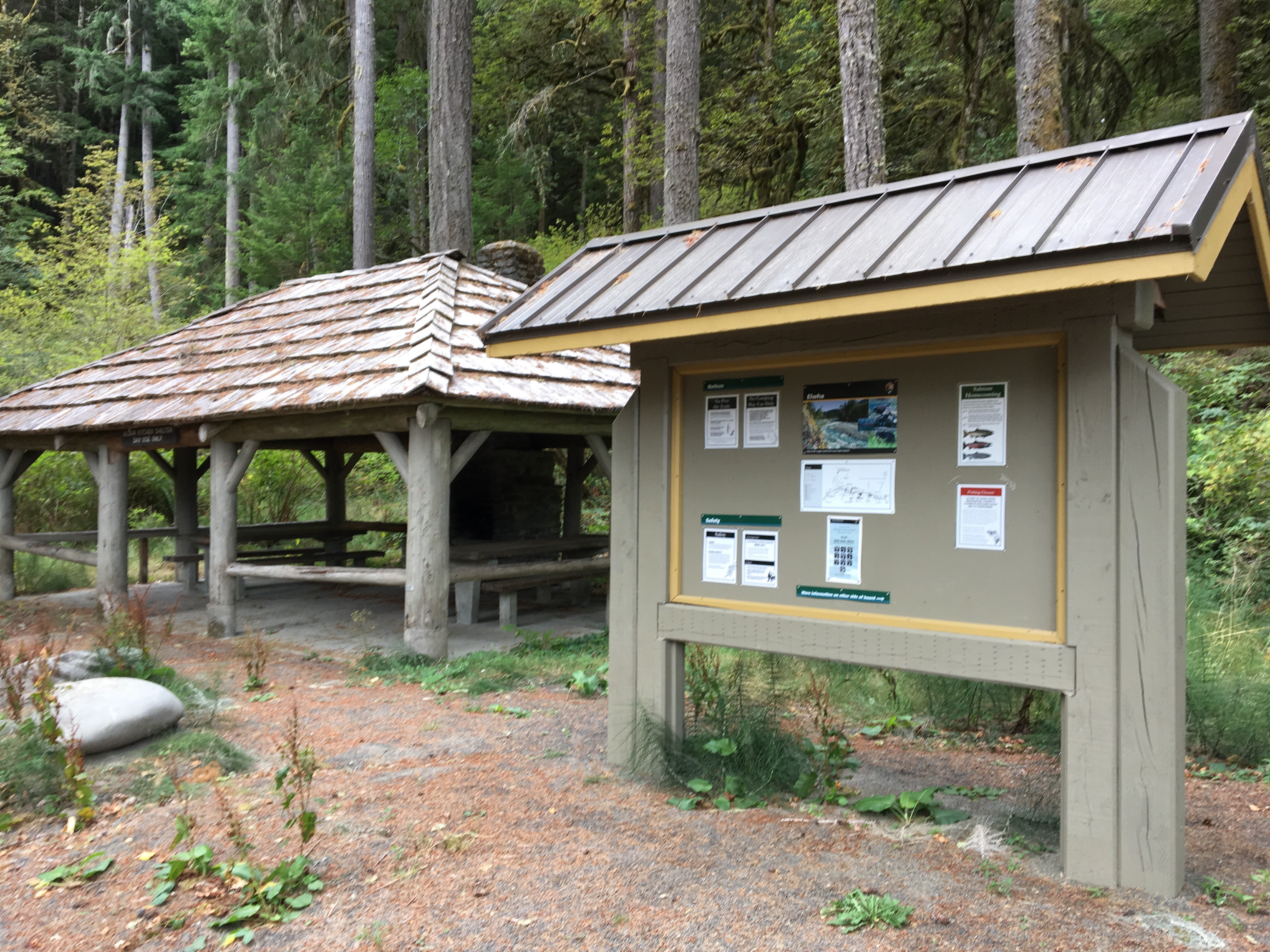 Camper submitted image from Altair Campground — Olympic National Park - 1