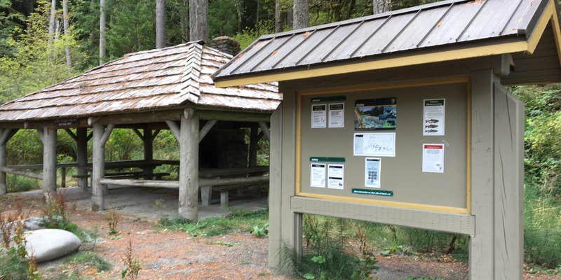 Camper submitted image from Altair Campground — Olympic National Park