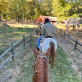 Review photo of Chickasaw State Park Campground by Amanda F., October 21, 2022