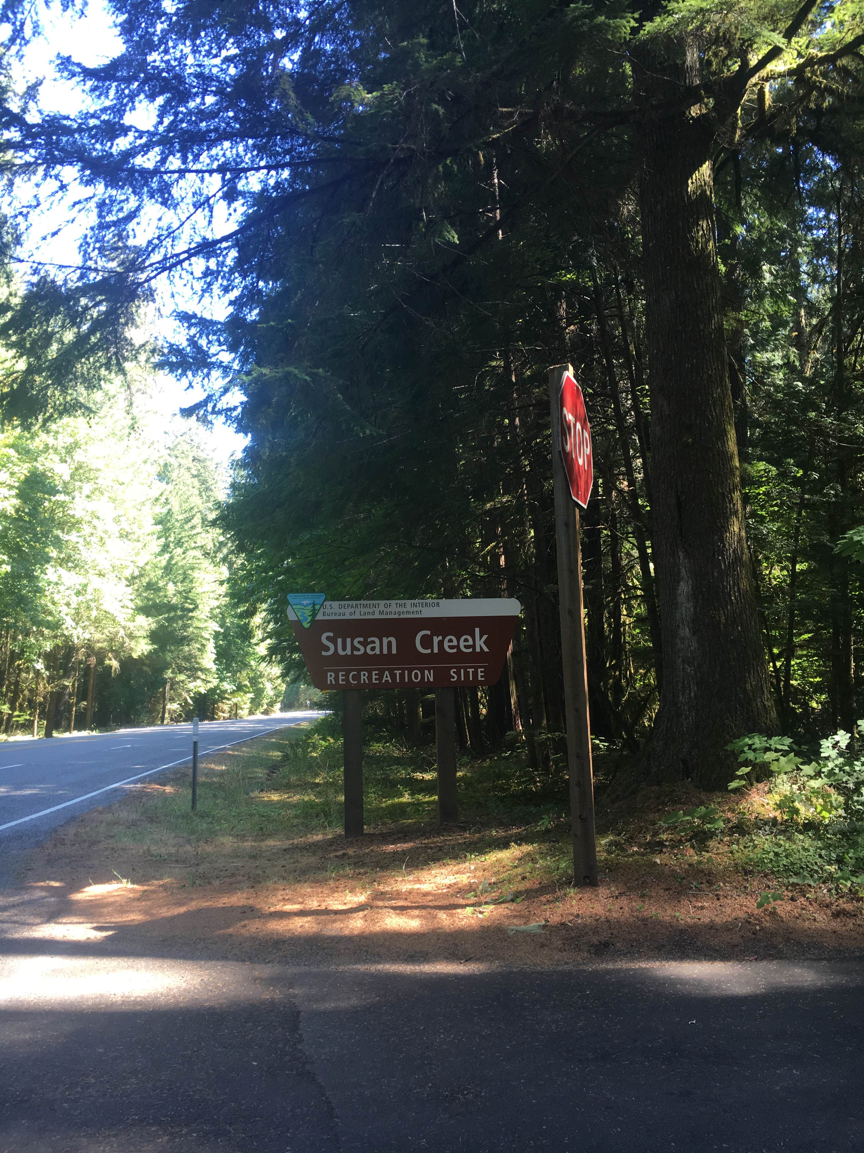 Camper submitted image from Susan Creek Campground - 3