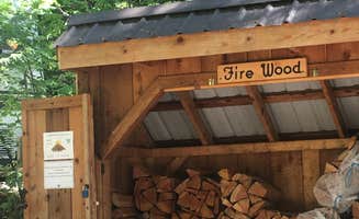 Brittney G.'s photo of glamping accommodations at Susan Creek Campground near Sutherlin, OR