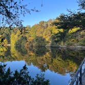 Review photo of Pennyrile Forest State Resort Park by Amanda F., October 21, 2022