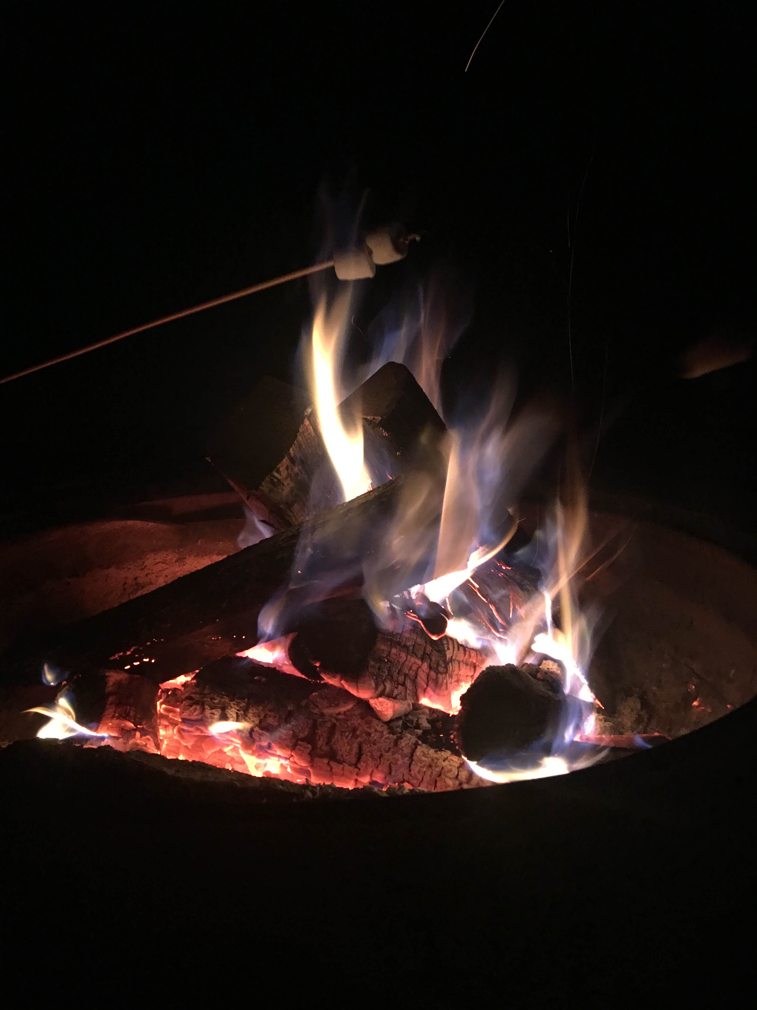 Camper submitted image from Newaygo State Park Campground - 3