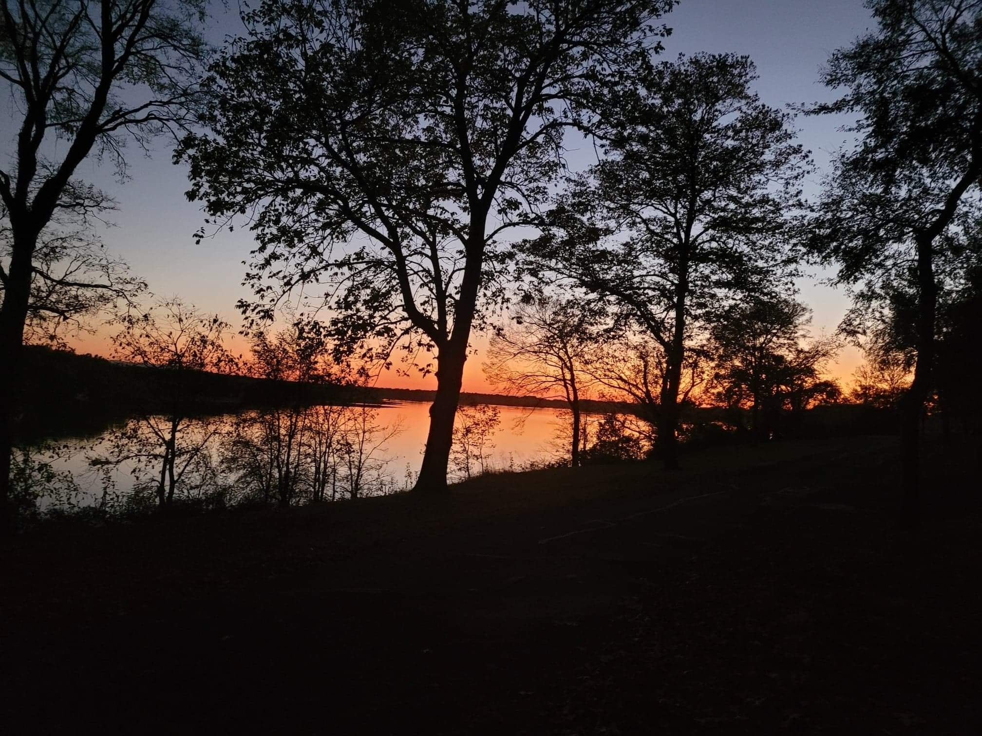 Camper submitted image from COE Dardanelle Lake Spadra Campground - 2
