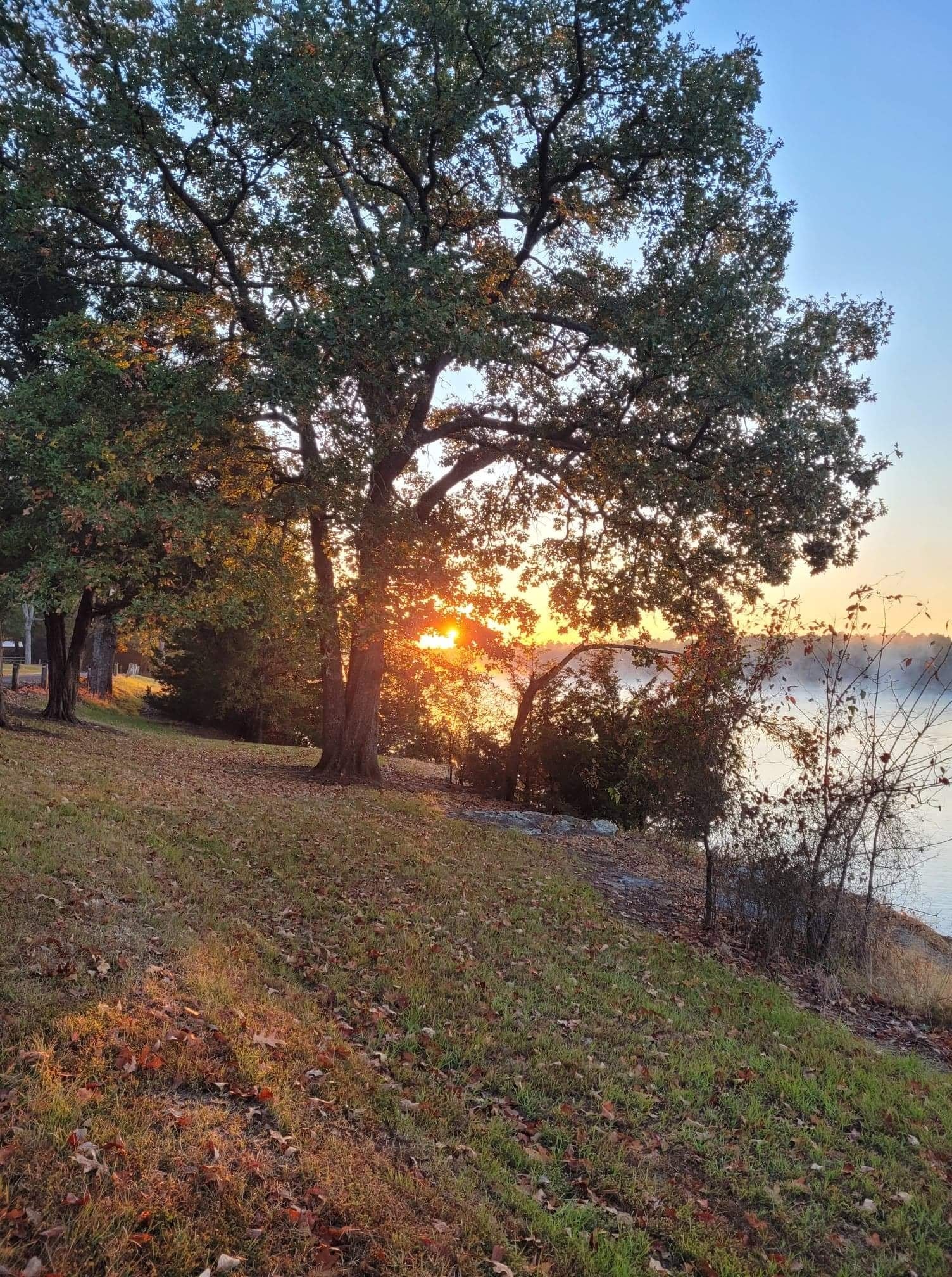 Camper submitted image from COE Dardanelle Lake Spadra Campground - 1