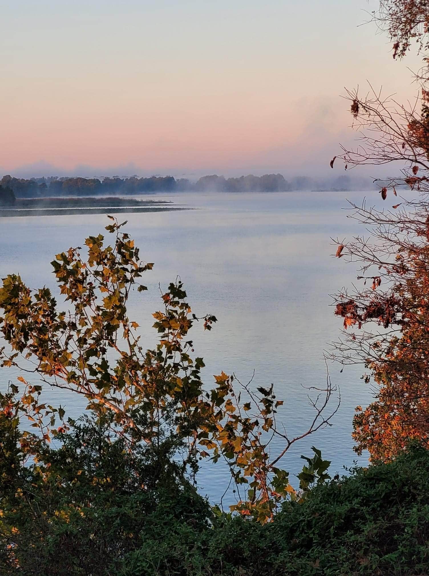 Camper submitted image from COE Dardanelle Lake Spadra Campground - 3