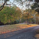 Review photo of COE Dardanelle Lake Spadra Campground by Steve S., October 21, 2022