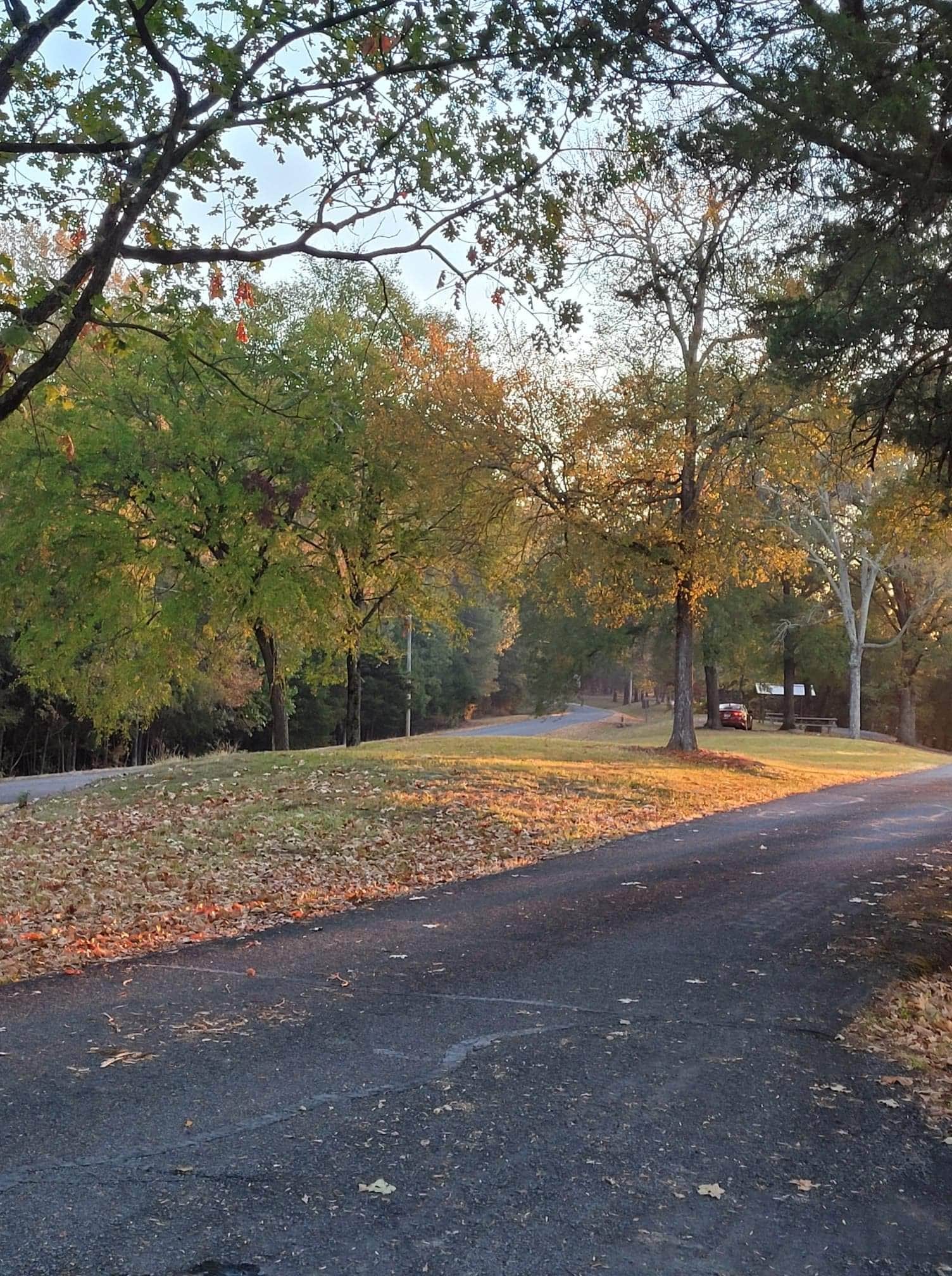 Camper submitted image from COE Dardanelle Lake Spadra Campground - 4