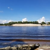 Review photo of Carolina Beach State Park Campground by Katrin M., September 9, 2018