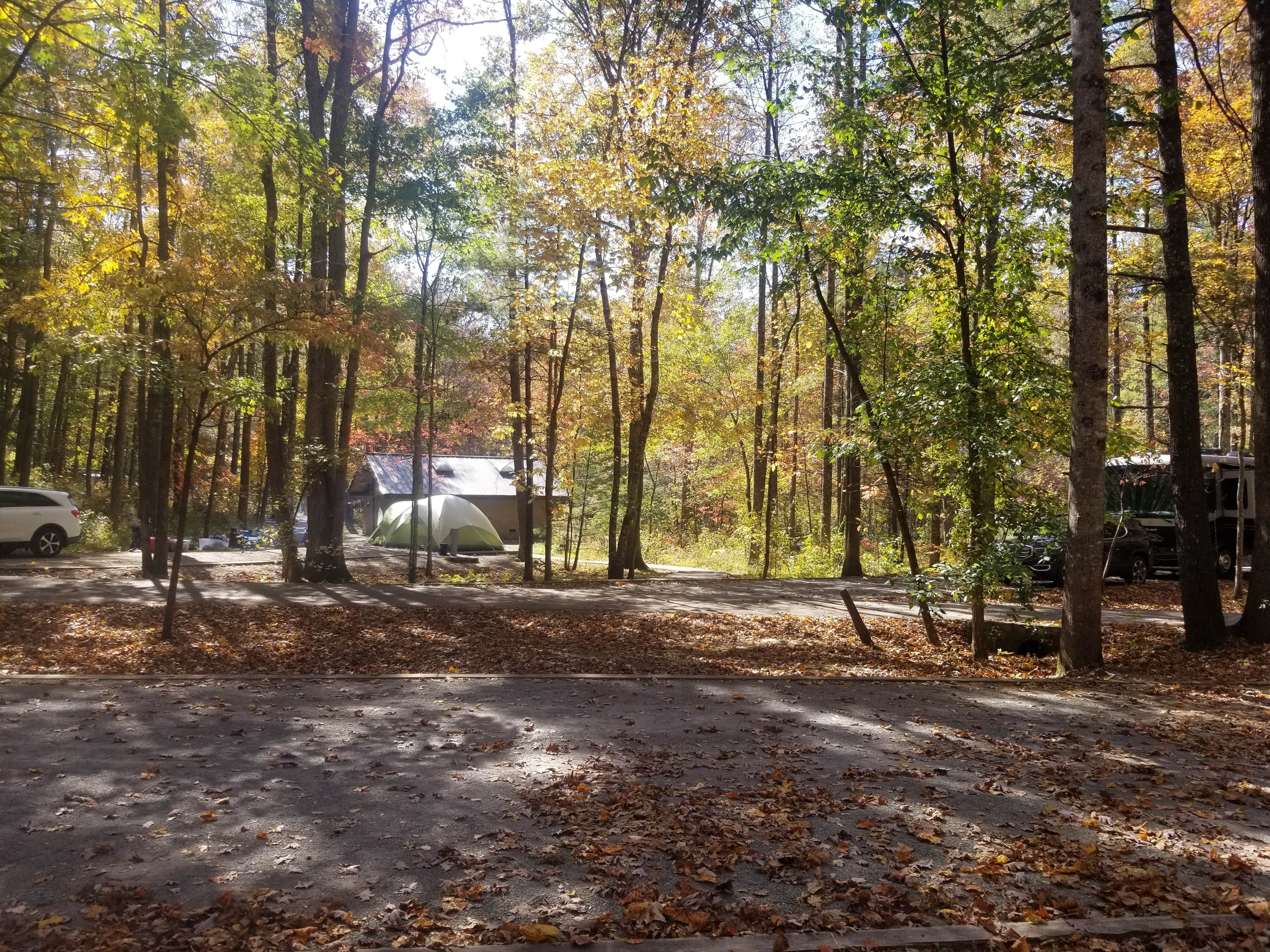 Katrin M.'s photo at Indian Boundary near Madisonville, TN