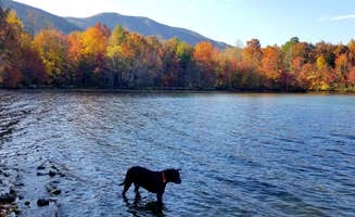 Katrin M.'s photo of camping with pets at Indian Boundary near Madisonville, TN