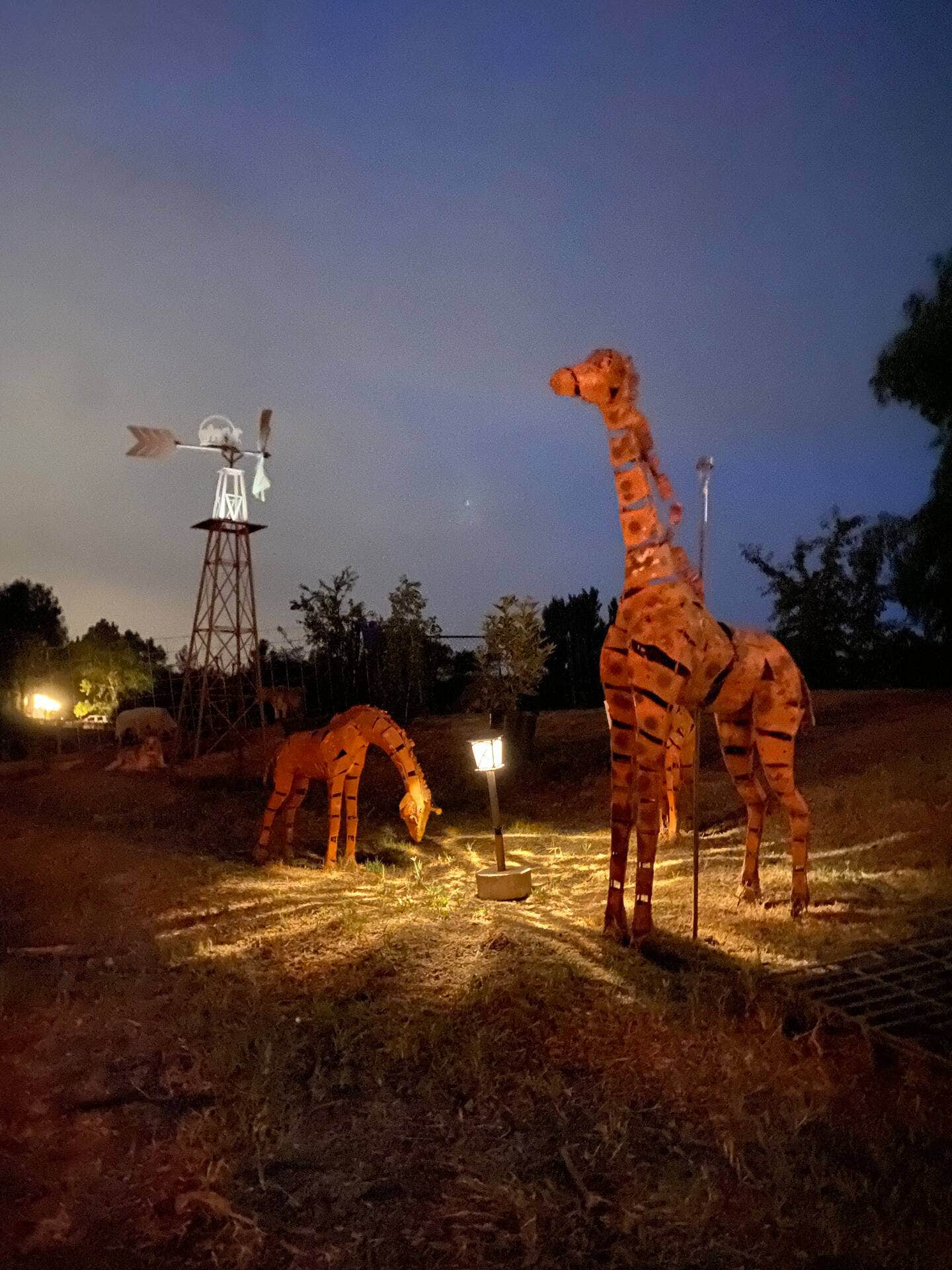 Jake C.'s photo at Hidden Haven Farms near Alpine, CA