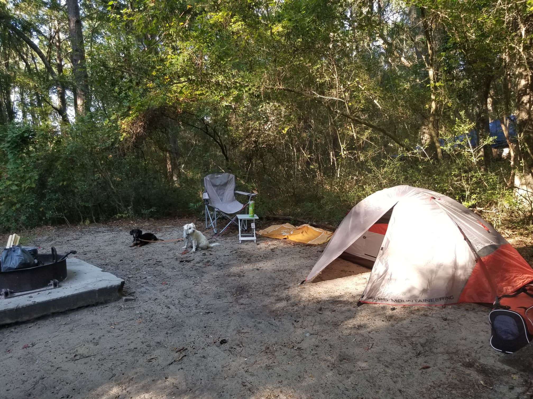 Katrin M.'s photo at Carolina Beach State Park Campground near Castle Hayne, NC