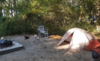 Katrin M.'s photo at Carolina Beach State Park Campground near Hampstead, NC
