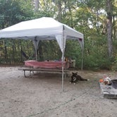 Review photo of Carolina Beach State Park Campground by Katrin M., September 9, 2018