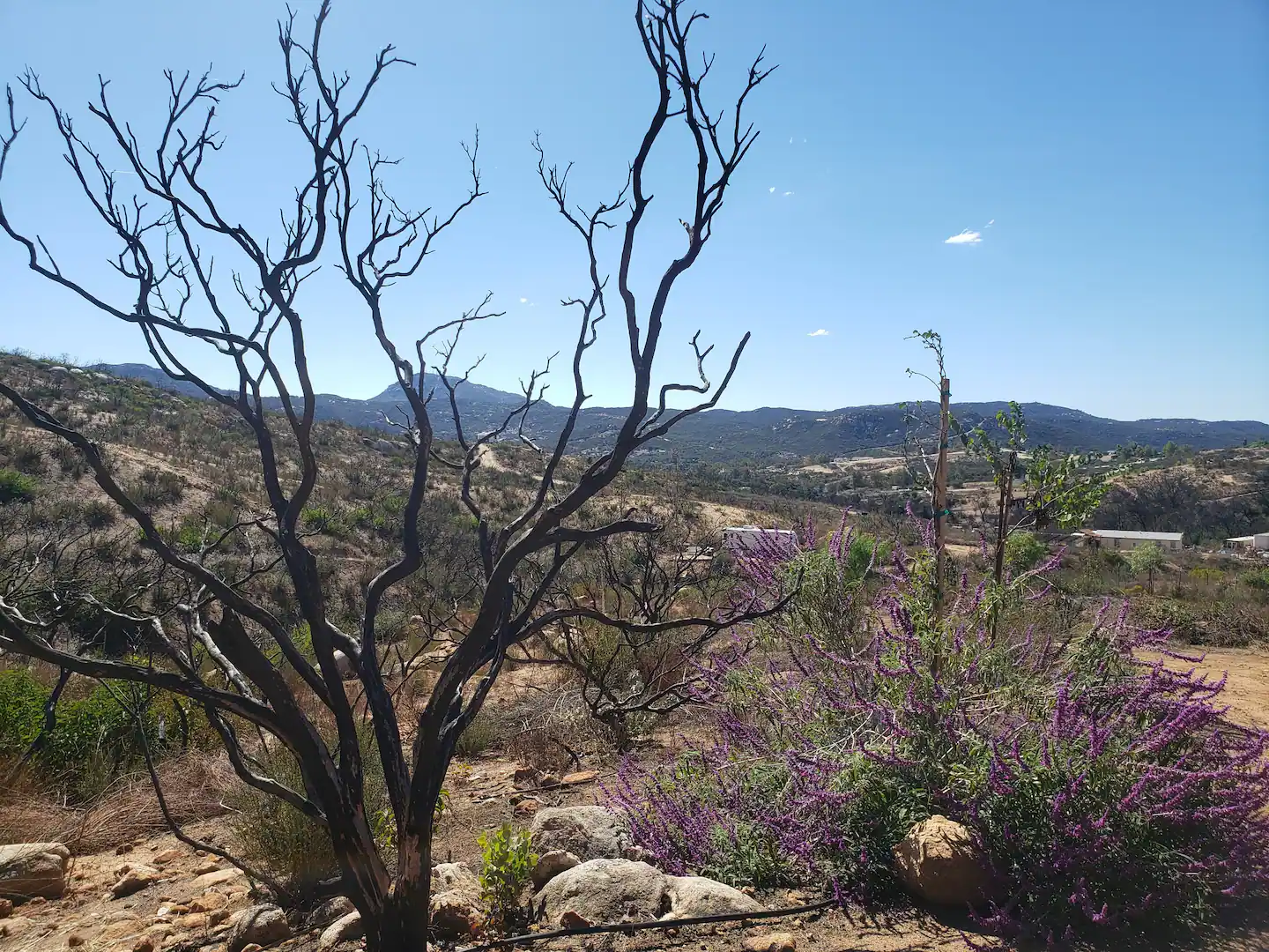 Camper-submitted photo at Hidden Haven Farms near San Diego, CA