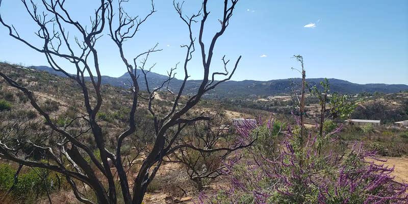 Camper submitted image from Hidden Haven Farms