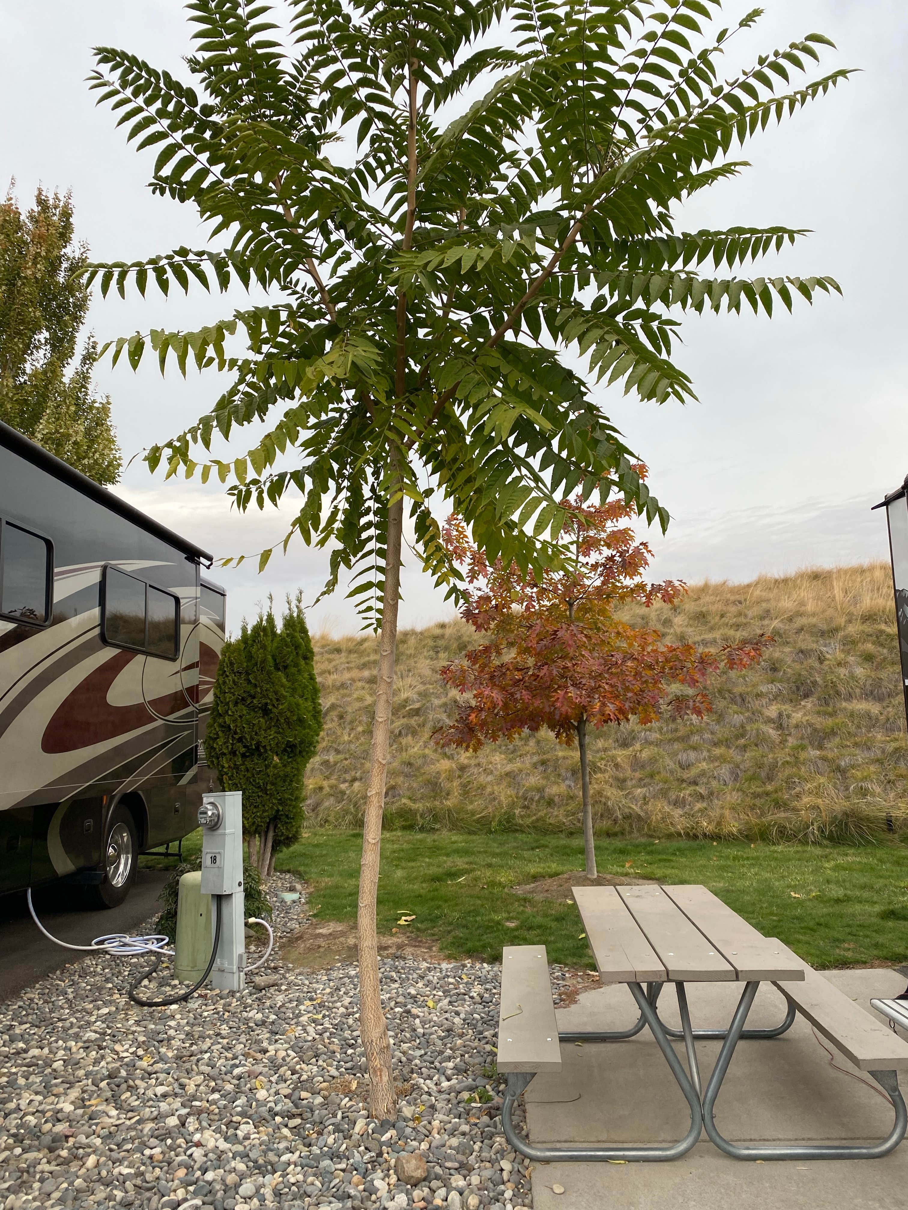 Camper-submitted photo at Blue Valley RV Park near Walla Walla, WA
