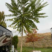 Review photo of Blue Valley RV Park by mary F., October 21, 2022