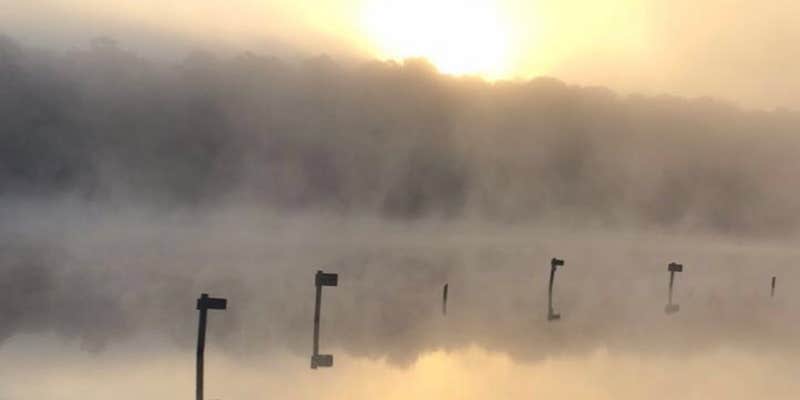 Camper submitted image from Paul M. Grist State Park Campground