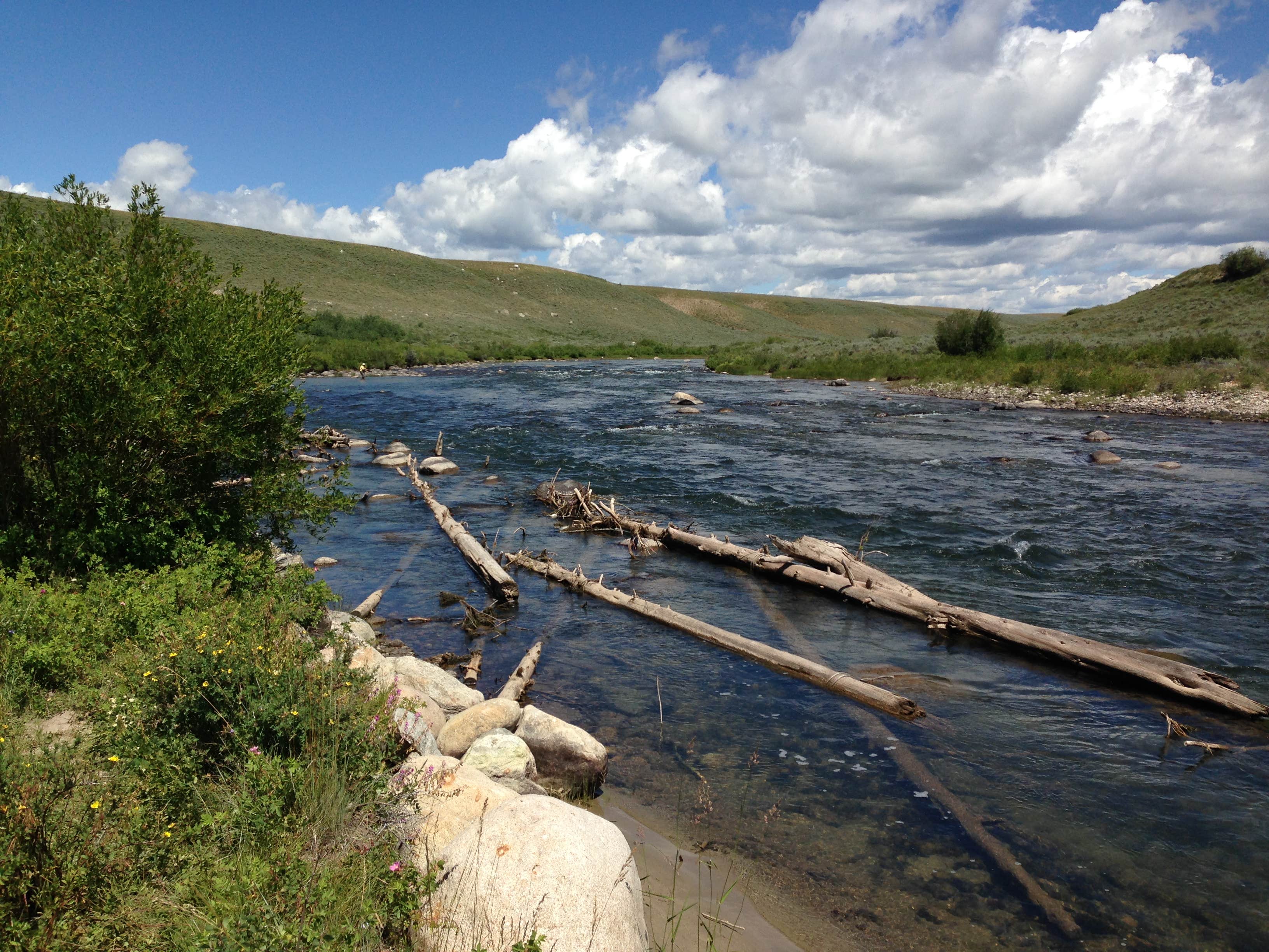 Camper submitted image from Warren Bridge Recreation Area Designated Dispersed Camping - 2