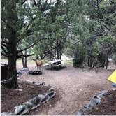 Review photo of Pinon Flats Campground — Great Sand Dunes National Park by Christina A., September 9, 2018