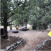 Review photo of Pinyon Flats Campground - Great Sand Dunes National Park by Christina A., September 9, 2018