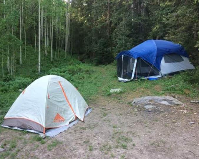 Christina A.'s photo of tent camping at Priest Lake Dispersed Camping Area near Ridgway, CO