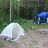 Review photo of Priest Lake Dispersed Camping Area by Christina A., September 9, 2018
