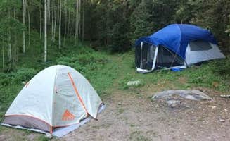 Christina A.'s photo of tent camping at Priest Lake Dispersed Camping Area near Grand Mesa, Uncompahgre and Gunnison National Forests