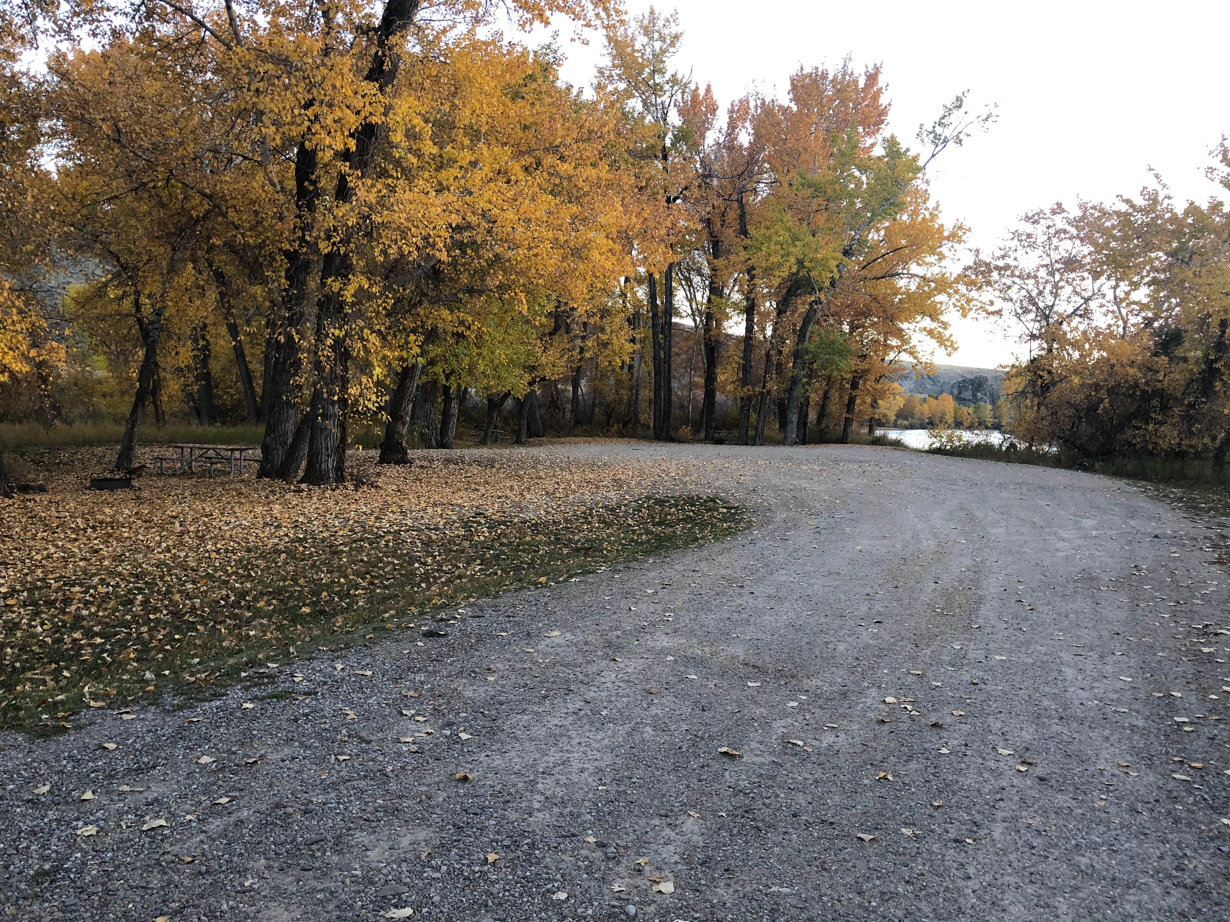 Camper-submitted photo at Brownes Bridge Fishing Access Site near Beaverhead-Deerlodge National Forest