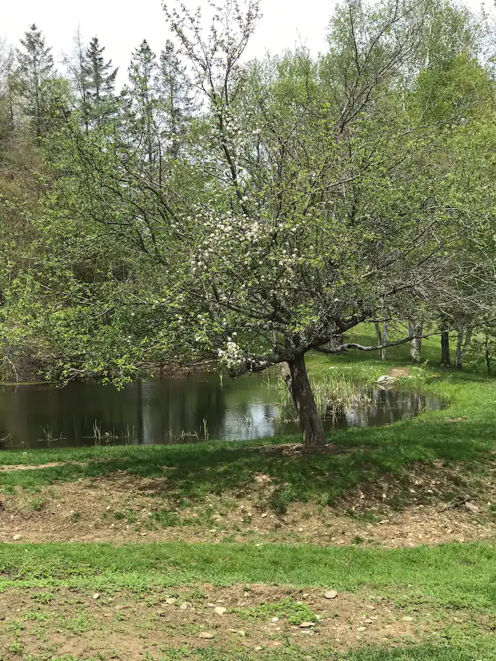 Camper-submitted photo at Amy’s Farmstays near West Rockport, ME