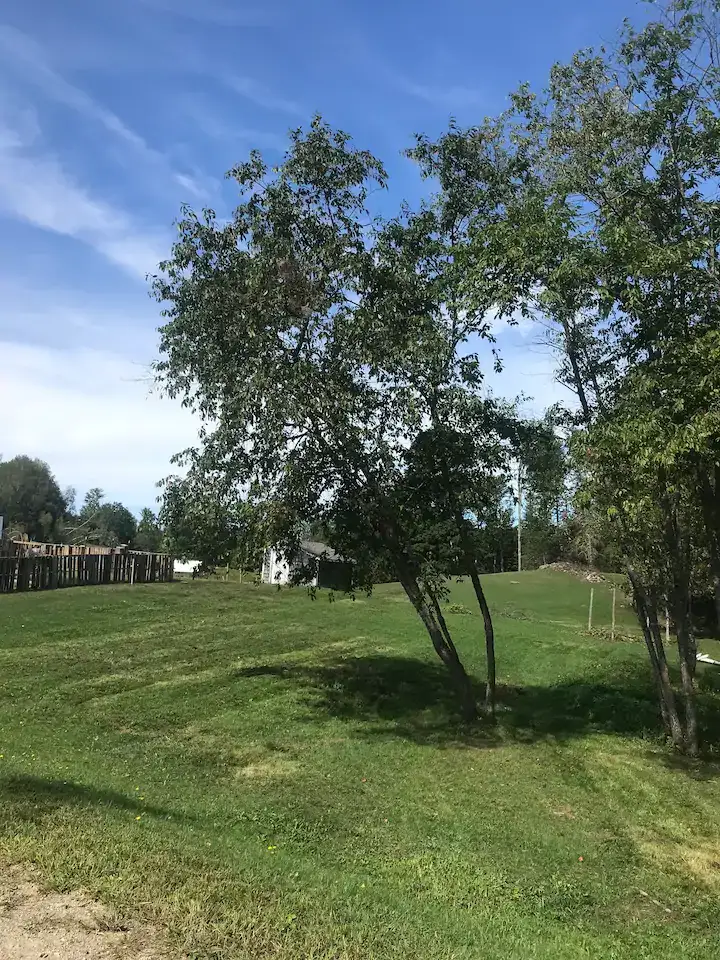 Camper-submitted photo at Amy’s Farmstays near West Rockport, ME
